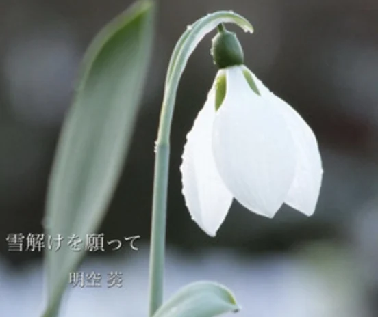 所属ライバー 🎙🌺𝒪𝒾𝓉𝒶𝓃.🌴🧡 が「明空 葵」としてオリジナル楽曲をリリースしました